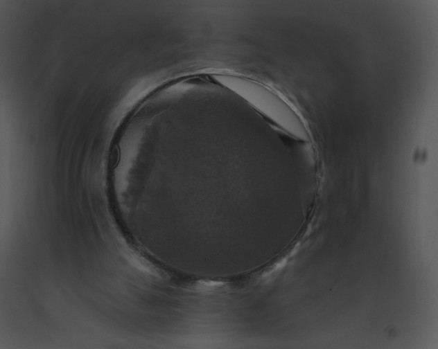 X0000091510055200708311235