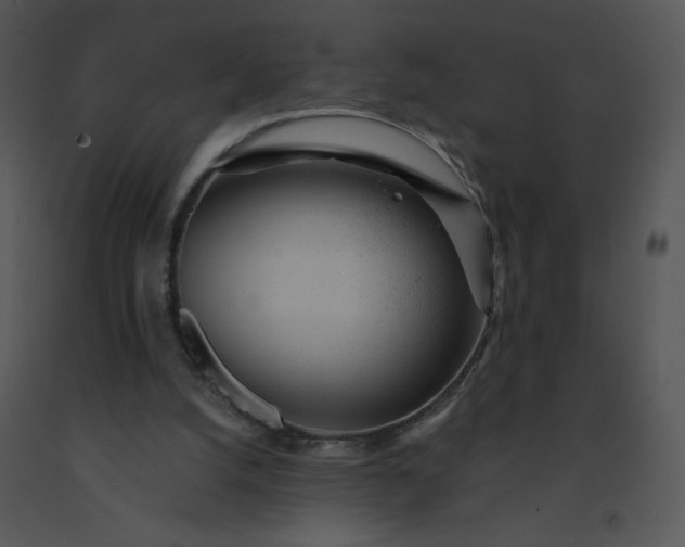 X0000091510056200708311235