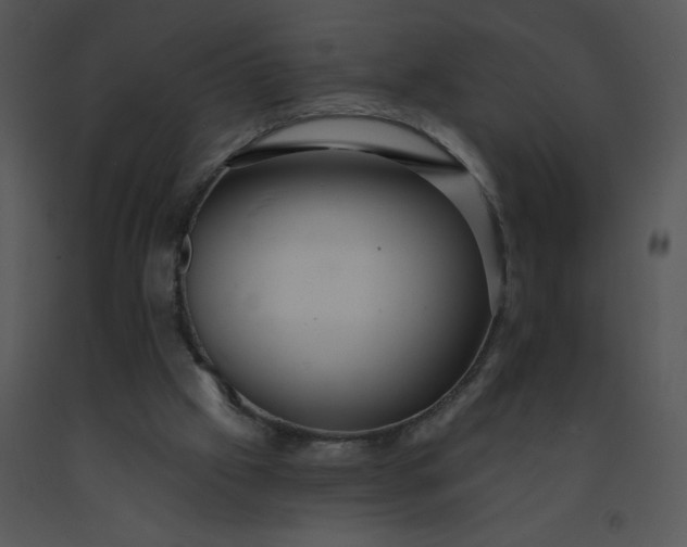 X0000091510057200708311235