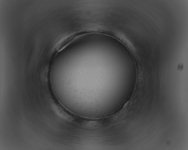 X0000091510058200708311235