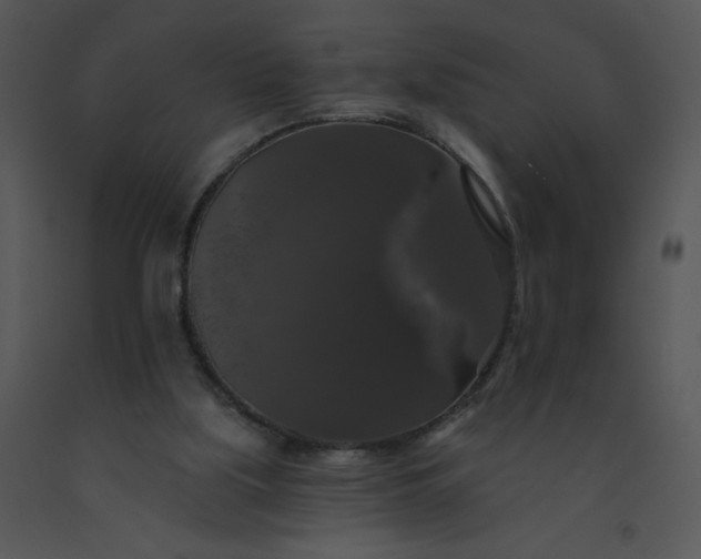 X0000091510059200708311235