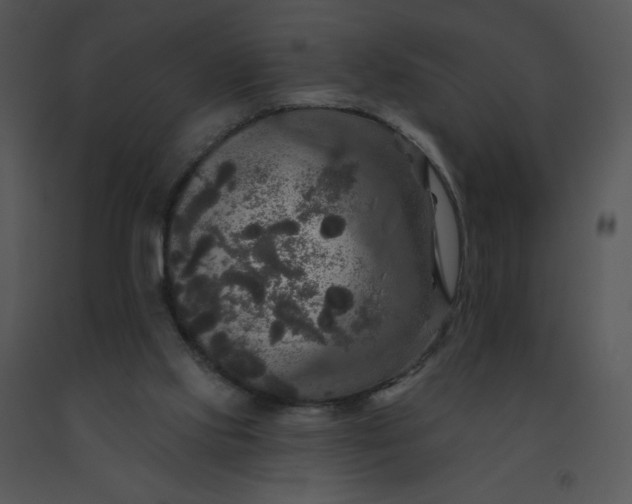 X0000091510061200708311235