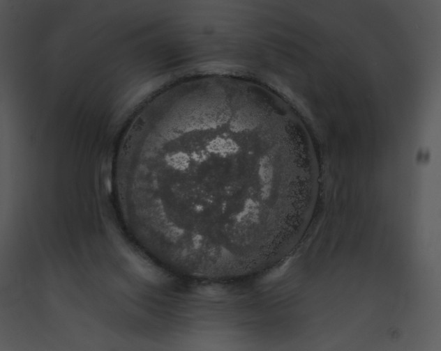 X0000091510062200708311235