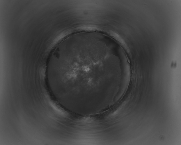 X0000091510063200708311236