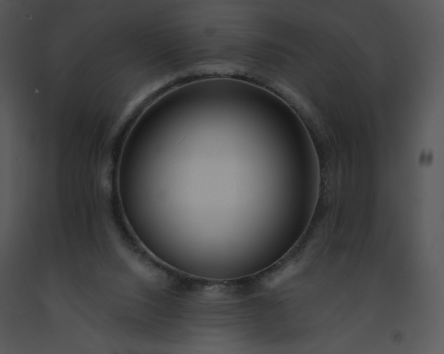 X0000091510064200708311236