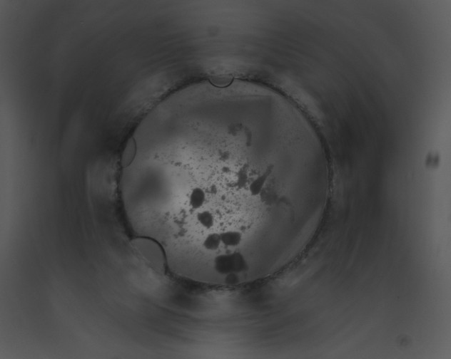 X0000091510065200708311236