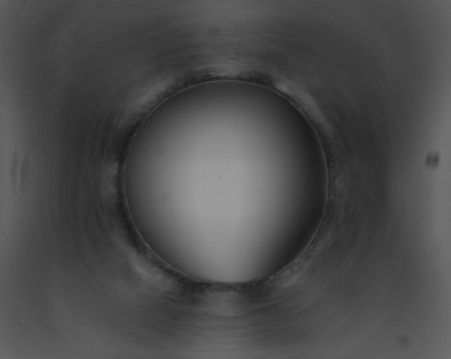 X0000091510066200708311236