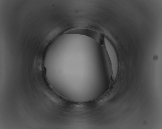 X0000091510068200708311236