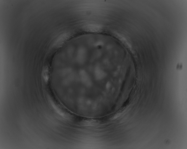 X0000091510069200708311236