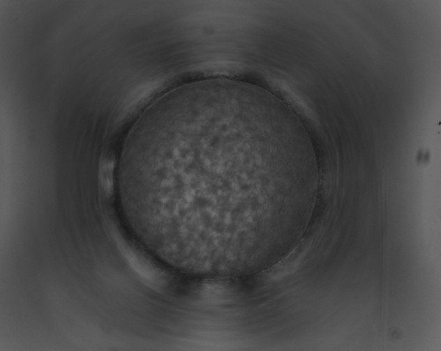 X0000091510070200708311236