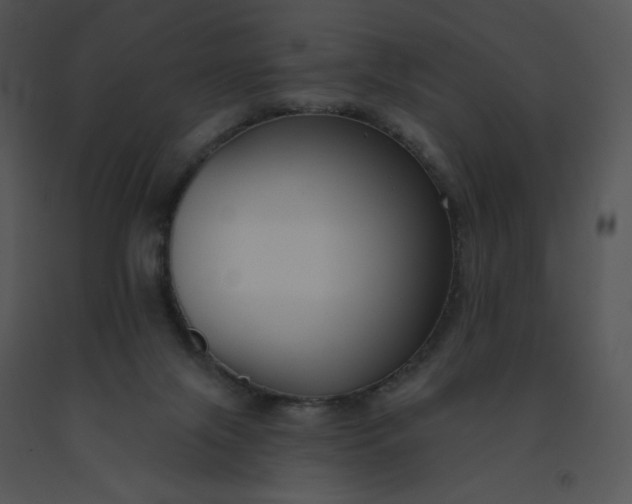 X0000091510071200708311236