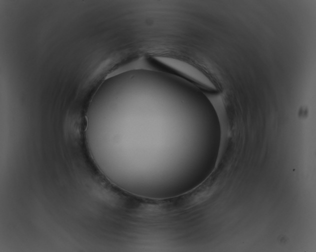 X0000091510072200708311236