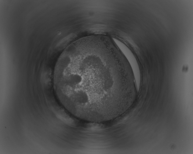 X0000091510073200708311236