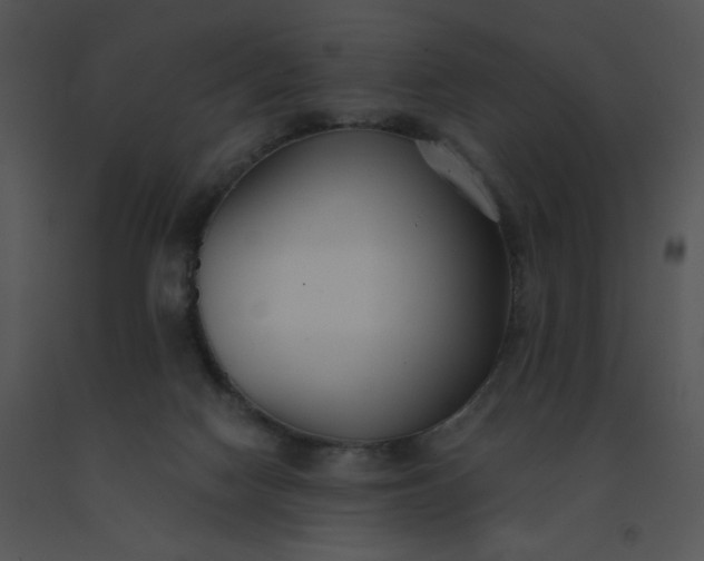 X0000091510074200708311236