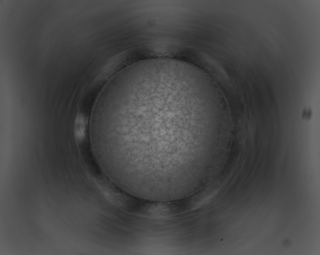 X0000091510075200708311236