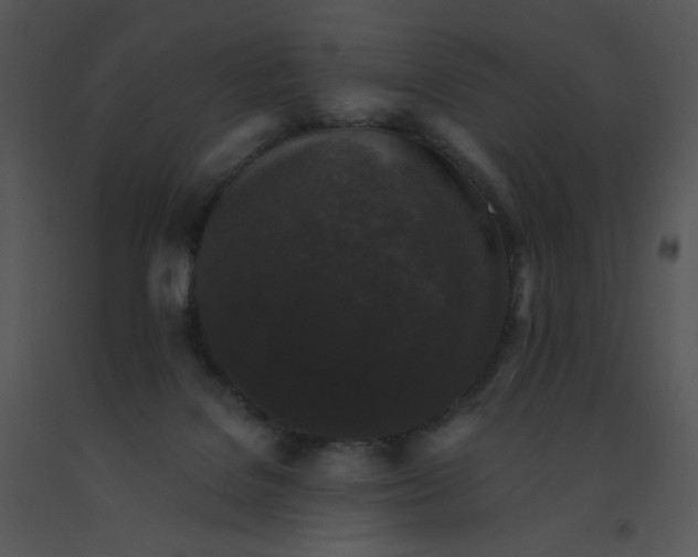 X0000091510076200708311236