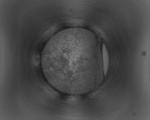 X0000091510077200708311236