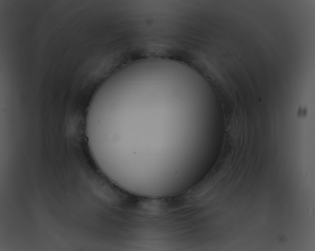 X0000091510079200708311236