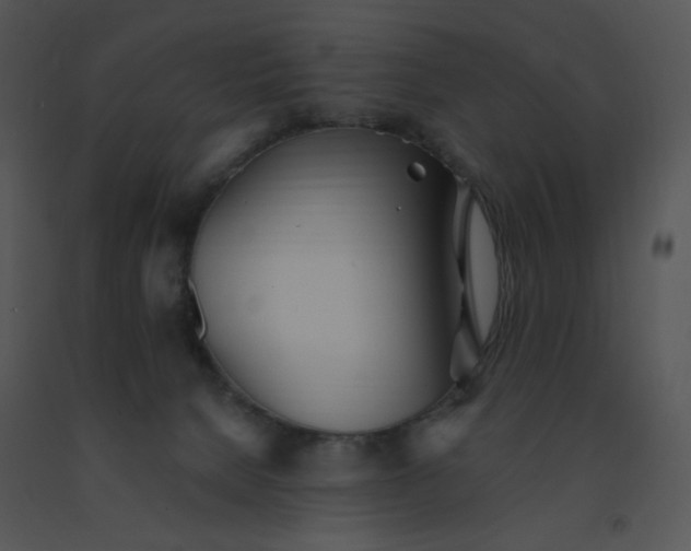 X0000091510080200708311236