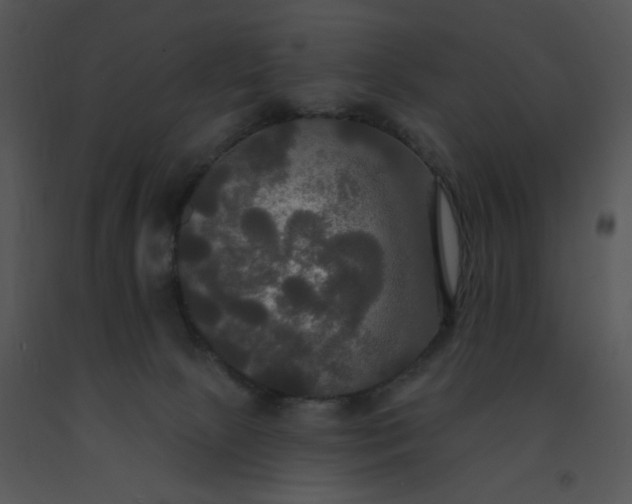 X0000091510081200708311236