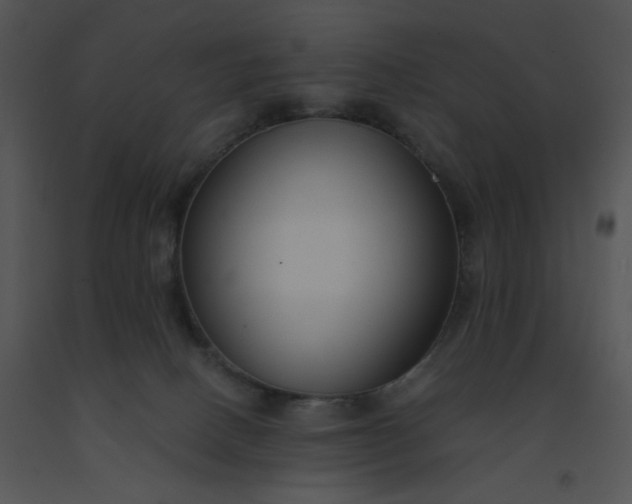 X0000091510082200708311236