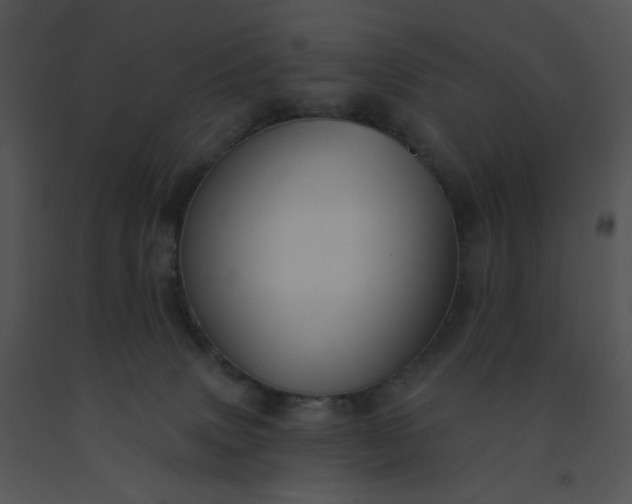 X0000091510083200708311236