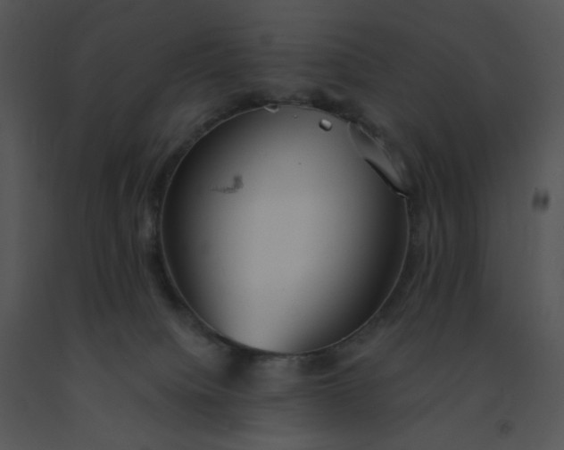 X0000091510084200708311236