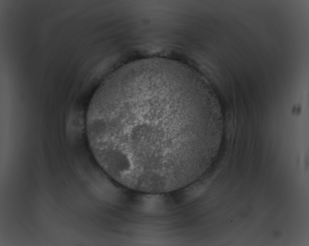 X0000091510085200708311236