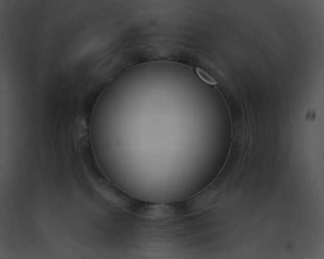 X0000091510087200708311236