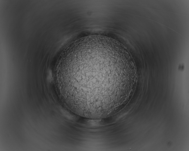 X0000091510089200708311236