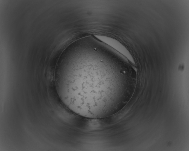 X0000091510091200708311236