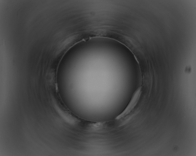 X0000091510092200708311236