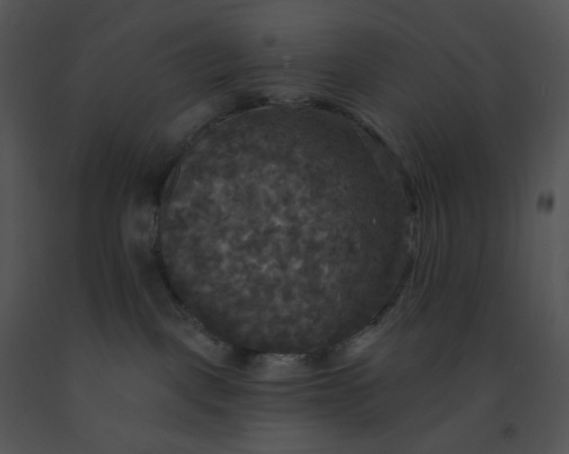 X0000091510093200708311236