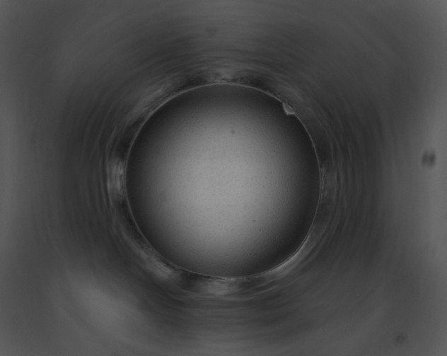 X0000091510094200708311236