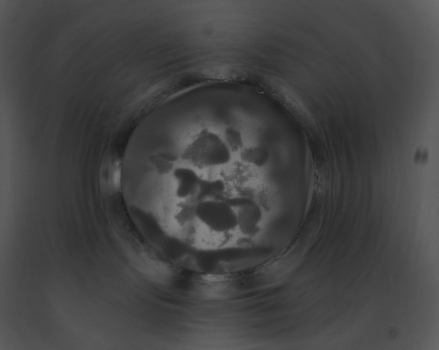 X0000091510095200708311236