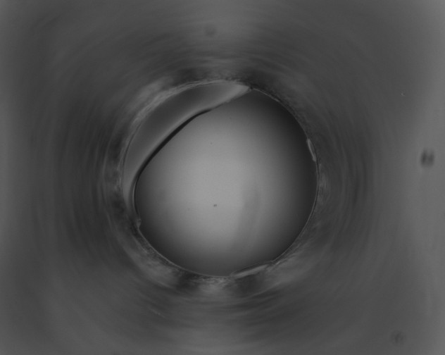 X0000091510096200708311236