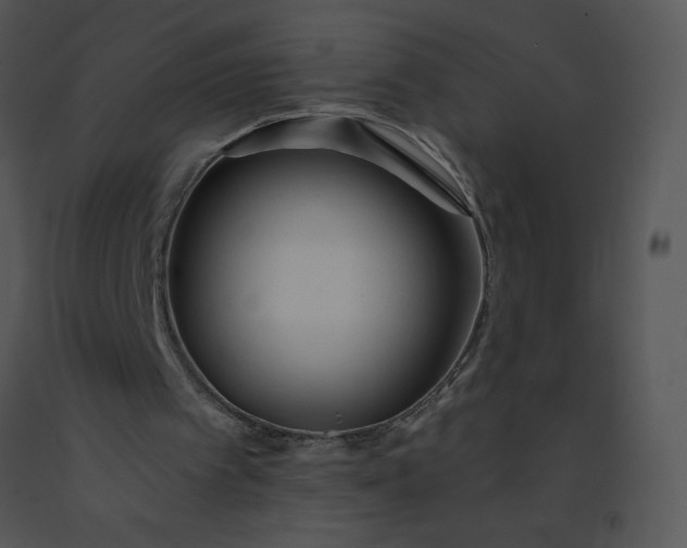 X0000091510097200708311235