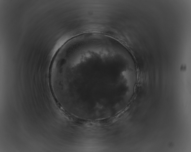 X0000091510099200708311235