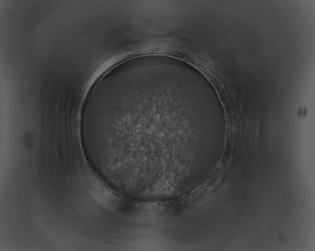 X0000091510100200708311235