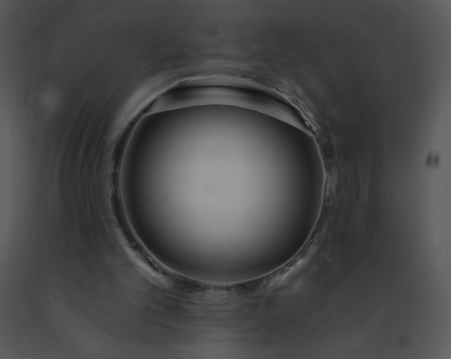 X0000091510101200708311235