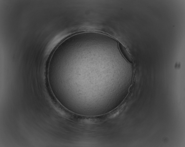 X0000091510103200708311235