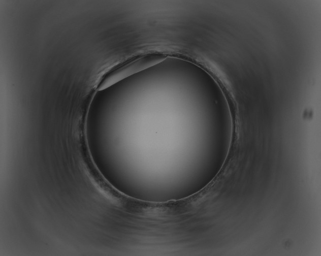 X0000091510105200708311235