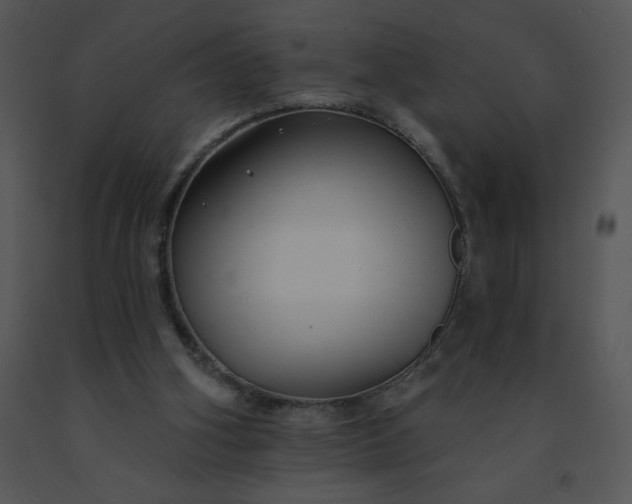 X0000091510106200708311235