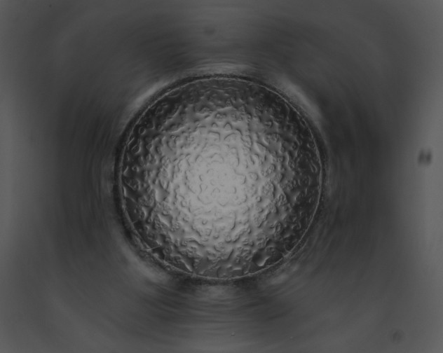 X0000091510107200708311235