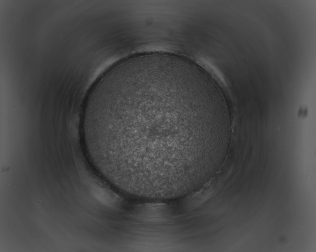 X0000091510108200708311235