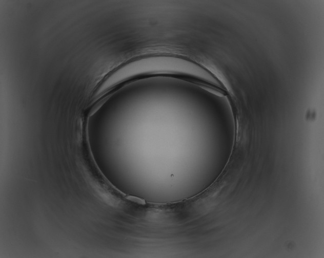 X0000091510109200708311235