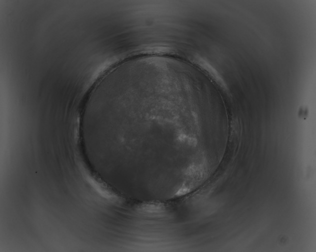 X0000091510110200708311235