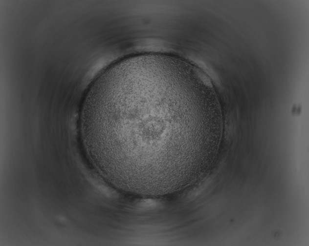 X0000091510111200708311235