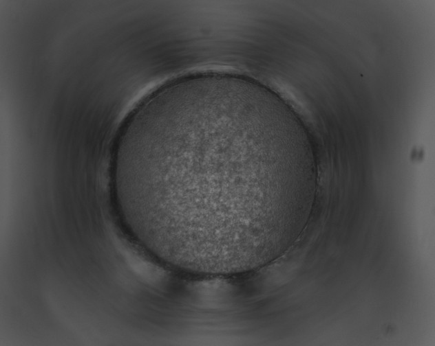 X0000091510112200708311235