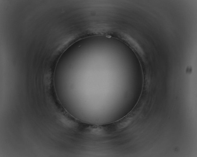 X0000091510113200708311235